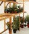 Growhouse 6x8 Cedar Staging