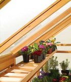 Growhouse 6x8 Cedar Shelving