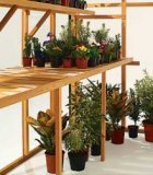 Growhouse 6x8 Cedar Staging